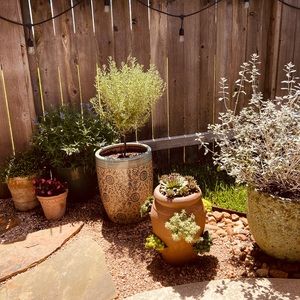 Meet your Posher, Roxann